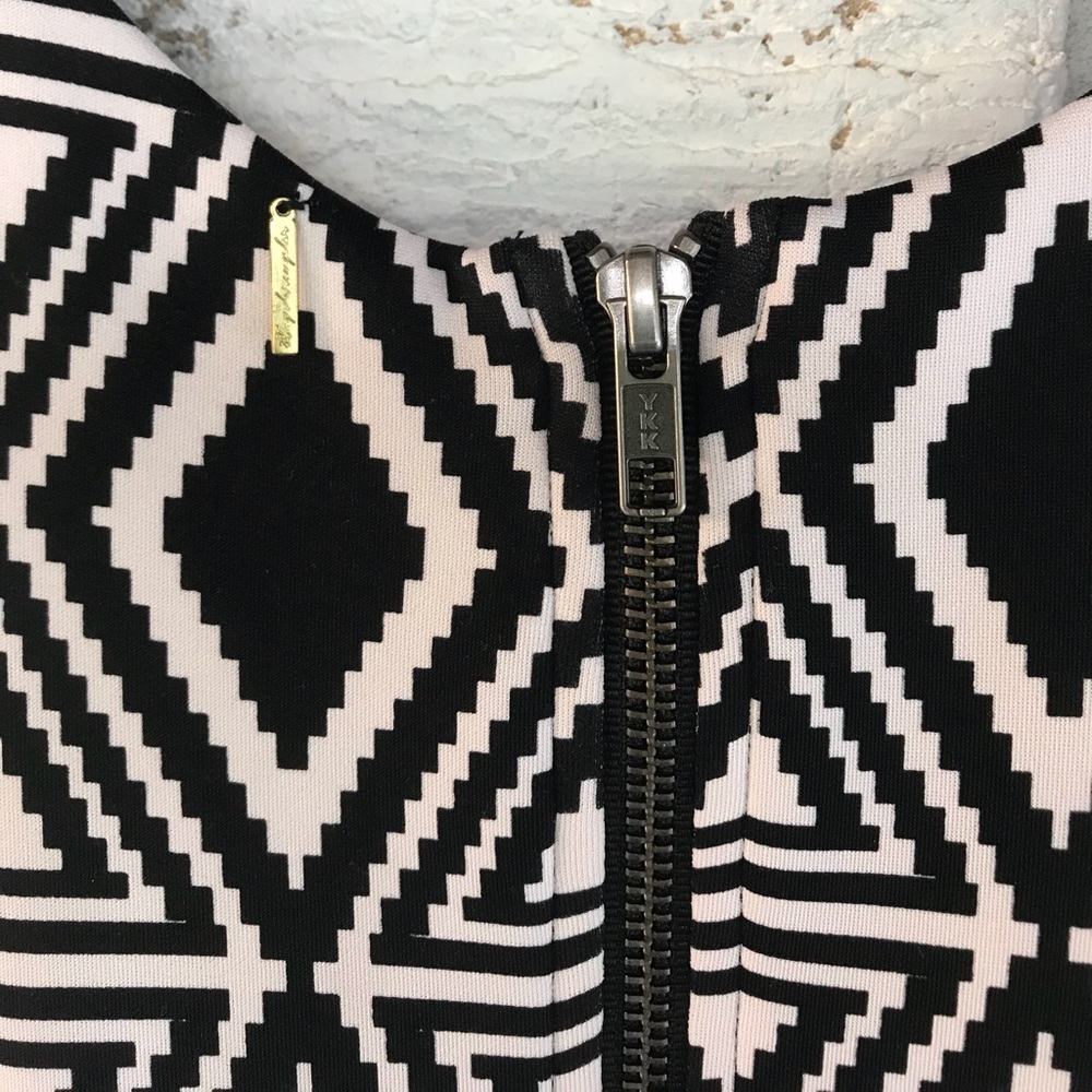 TBags Los Angeles | Faux Leather Skater Dress🖤 - Picture 4 of 8